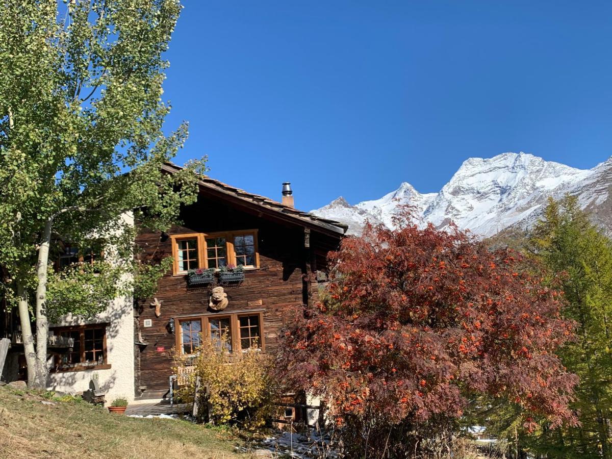 Chalet Birkhahn Saas-Fee Exterior photo