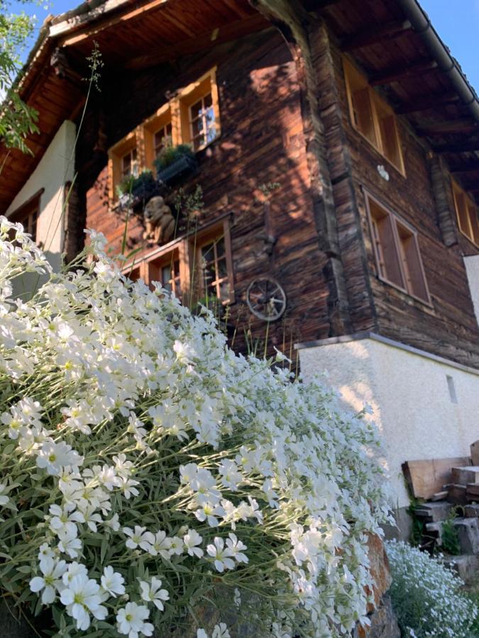 Chalet Birkhahn Saas-Fee Exterior photo