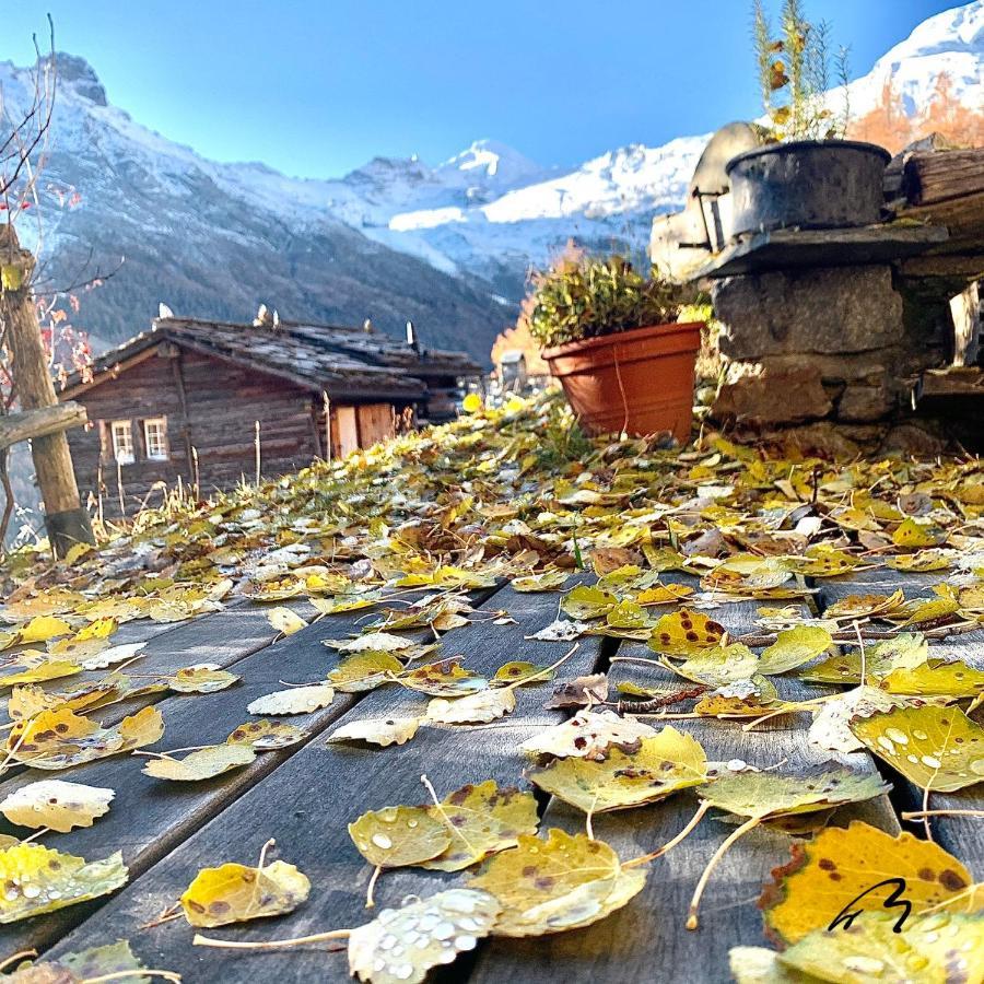Chalet Birkhahn Saas-Fee Exterior photo